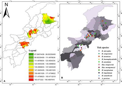 Seasonal Dynamics, Record of Ticks Infesting Humans, Wild and Domestic Animals and Molecular Phylogeny of Rhipicephalus microplus in Khyber Pakhtunkhwa Pakistan